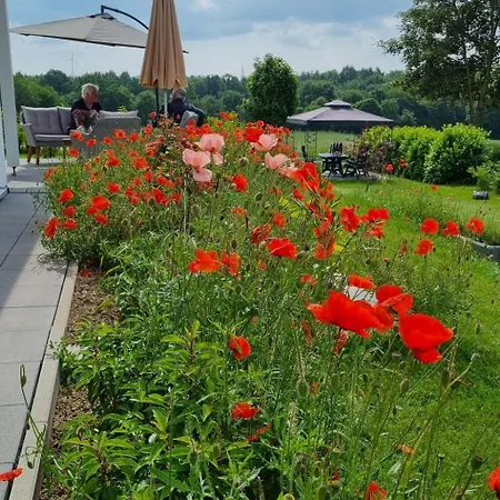 Knoke Ii By Interhome