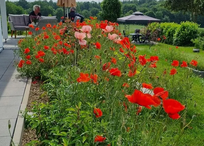 Knoke Ii By Interhome