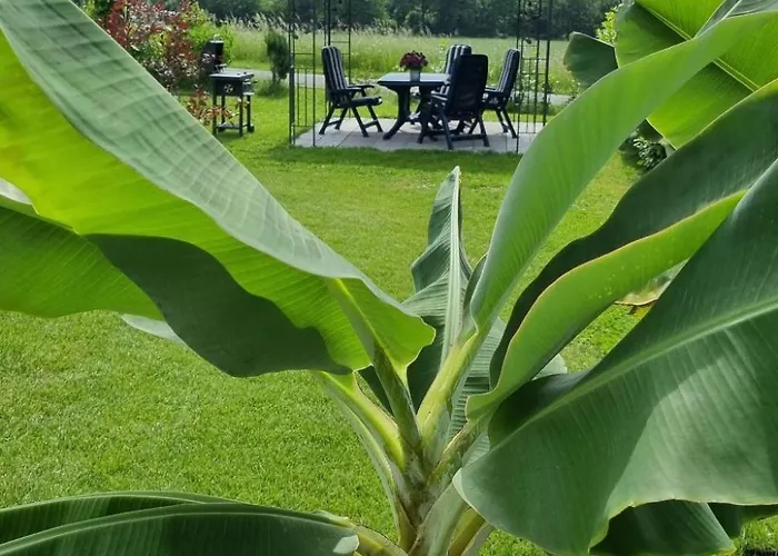 Hébergement de vacances Knoke Ii By Interhome Marienmünster